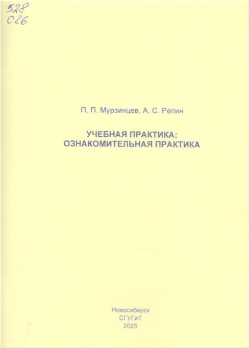 Подробнее о статье Мурзинцев П.П., Репин А.С.