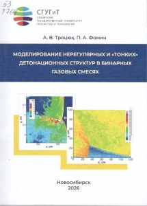 260410_Моделирование нерегулярных и тонких структур